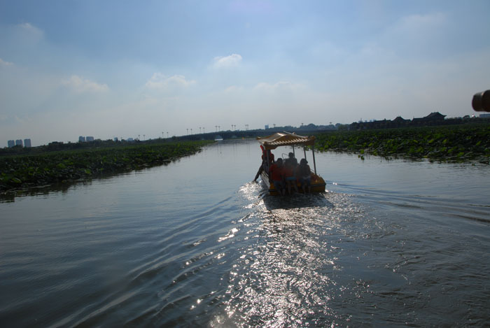 Ϧ����£�ӭ�������ϰ�